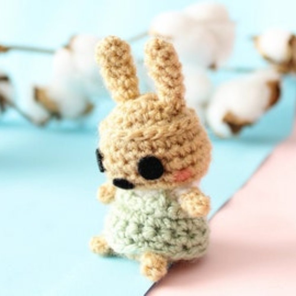 as keychain or just the mini plush you can choose